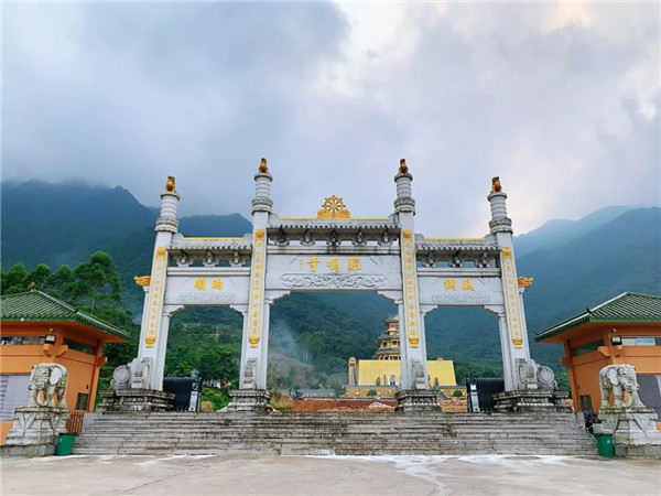 1577175837365843.jpg 8.jpg