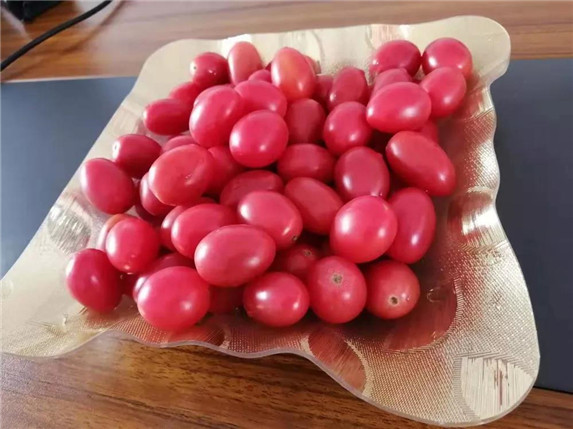 1577238418874163.jpg 3.jpg